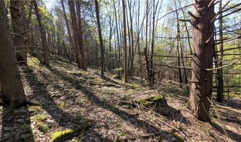 East River Road lot 5, Andes, NY 13731