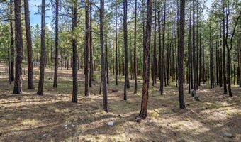 15 Co Rd 2083, Alpine, AZ 85920