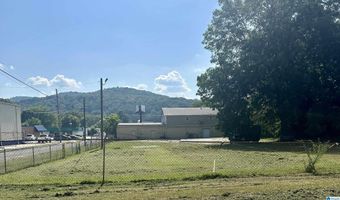 224 S LEIGHTON Ave 1, Anniston, AL 36207