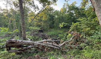 000 Jasmine Ave, Atlanta, MO 63530