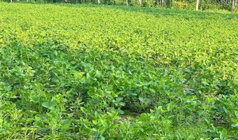 20891 State 64, Akeley, MN 56433