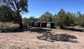 18 A Warren Run Rd, Ash Fork, AZ 86320