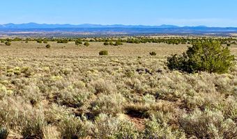 River Meadows Ranch Unit 3 Lot 204, Concho, AZ 85924