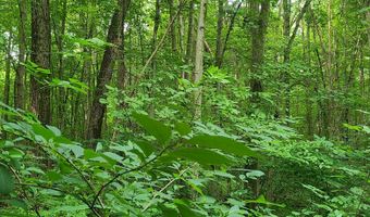 45 Acres 108th Ave, Allegan, MI 49010