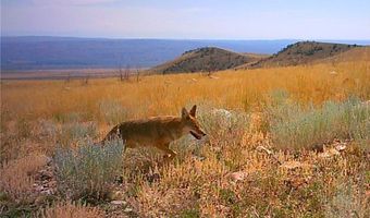 NHN Broken Trail N lot Bvr 944-19, Belfry, MT 59008