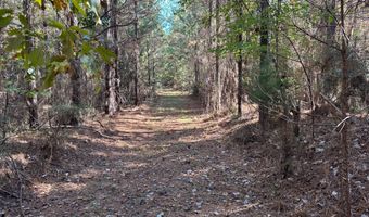 Smith County Road 18-5a, Bay Springs, MS 39422