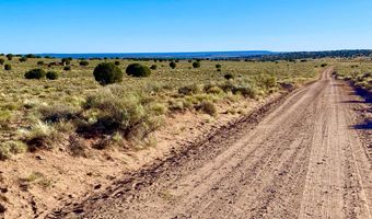 River Meadows Ranch Unit 3 Lot 204, Concho, AZ 85924