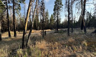 Seal Lane 37, Bonanza, OR 97623