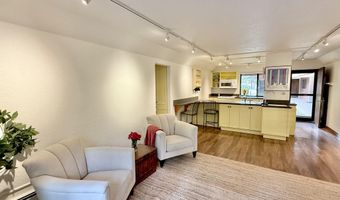 1214 Vine St 1214, Aspen, CO 81611