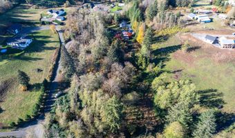 15010 NE 403RD St, Amboy, WA 98601