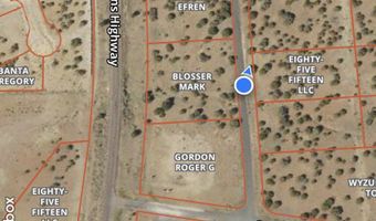 5064 Concho Dr 385, Concho, AZ 85924