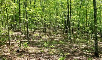 0 County Road 224, Alton, MO 65606