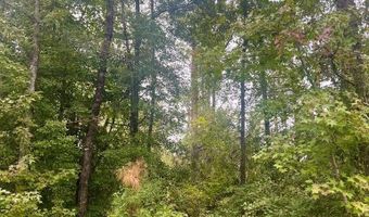 0 Douglas Dr, Abbeville, AL 36310