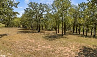 3 W Bluff Ln, Millsap, TX 76066