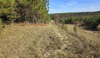 1228 River Rd, Ariton, AL 36311