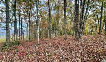 Rocky Ridge Rd lot 8, Almond, NC 28702