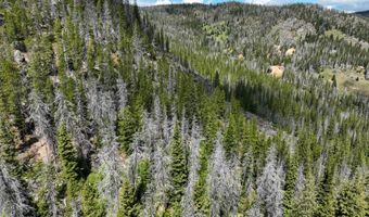 Nhn Cataract Creek Road, Basin, MT 59631