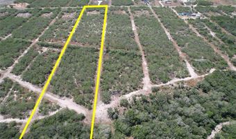 179 County Road 1461 Lot 9, Alice, TX 78332