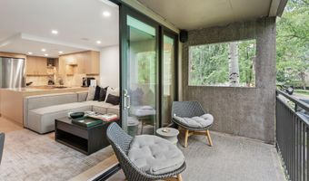800 E Hopkins Ave B5, Aspen, CO 81611