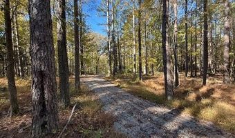 Perry Chapel Road, Ashland, MS 38603