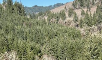 Logsden Rd, Blodgett, OR 97326