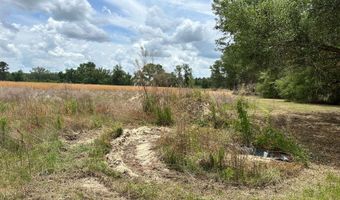 TBD NW LEVI GLN LOT 1, Lake City, FL 32055