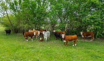 Tbd Lot Pt 15 & 16 County Road 1271, Alvord, TX 76225