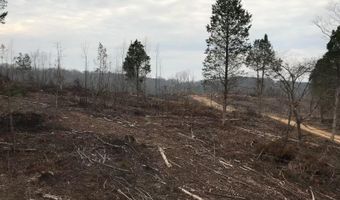 233 County Road 83, Athens, TN 37303