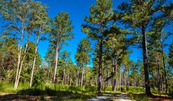 6355 Cobbham Rd, Appling, GA 30802