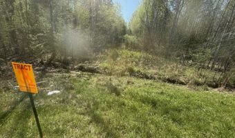 TRACT 3 W MAIN, Adamsville, TN 38310