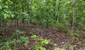 County Road Jj-416, Ava, MO 65608