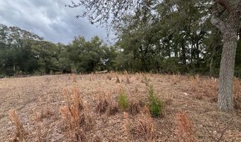 3543 Durden Ave, Bell, FL 32619