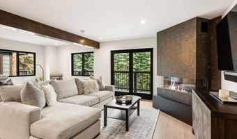 650 S Monarch St 7, Aspen, CO 81611