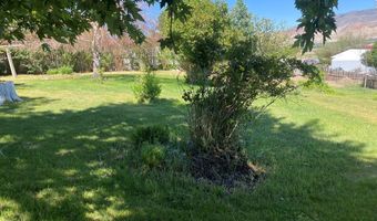 900 Challis Creek Rd, Challis, ID 83226