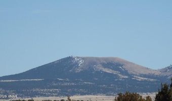 Parcel 107-52-046, Concho, AZ 85924