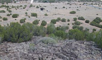 5 County Rd # 8095, Concho, AZ 85924