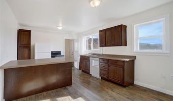 50 SINGLETON Rd, Alma, CO 80420