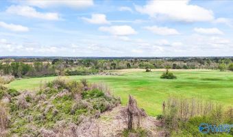435 Sneadview Rd, Altoona, AL 35952