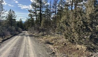 Badger Lane, Bonanza, OR 97623