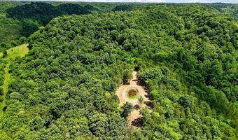 2926 Bryant Ridge Rd, Baxter, TN 38544