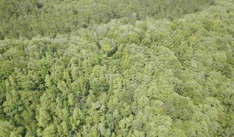 0 Highway 31, Bay Minette, AL 36507