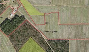 Sr 1918 Road, Aurora, NC 27806