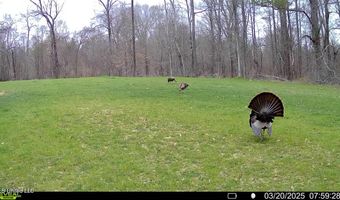 2233 Holloman Rd, Bentonia, MS 39040