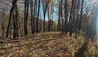 TBD Bear Pen Rd, Arkansaw, WI 54721