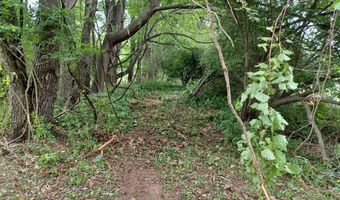 9250 92nd St SE, Alto, MI 49302