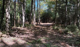 Beaver Trail lot # 1, Alder Creek, NY 13301