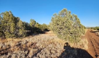 3405 W Pinto Dr, Ash Fork, AZ 86320
