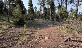 Luna lot 1581, Angel Fire, NM 87710