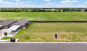 820 W Sunset Valley St, Alton, TX 78573