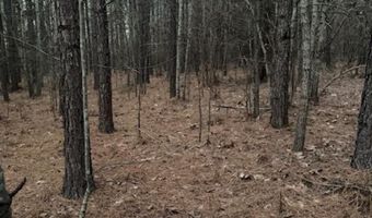 0- Lot 7 Piney Mountain Rd, Appomattox, VA 24522